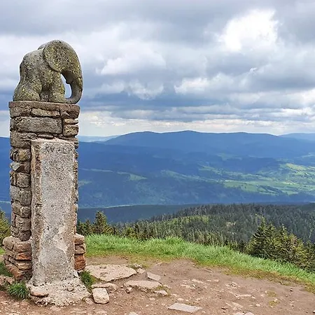 Sowia Nowy Z Prywatnym Tarasem I Widokiem Na Gory Appartamento Stronie Śląskie