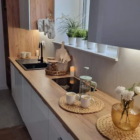 Sowia Nowy Z Prywatnym Tarasem I Widokiem Na Gory Stronie Śląskie