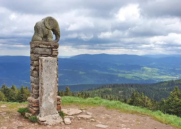Sowia Nowy Z Prywatnym Tarasem I Widokiem Na Gory Appartamento Stronie Śląskie
