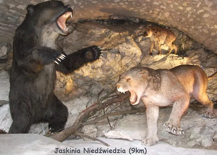 Sowia Nowy Z Prywatnym Tarasem I Widokiem Na Gory Appartamento